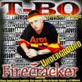 T-Bo da Firecracker、B-Rock - What Y'all Wanna Do? (feat. B-Rock)(Explicit)