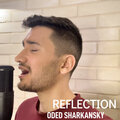 Oded Sharkansky - Reflection