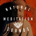 Outside Broadcast Recordings - Piano Sonata No. 8 in C Minor, Op. 13: II. Adagio Cantabile