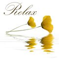 Relax & Relax - Flöte Relax