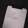 陈淑佳 - 刺猬