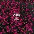 马泽龙 - 法图麦