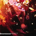 Indigo、Synkro - Knowing You
