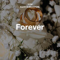 Hans-Ulrich Pohl - Forever