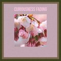 Pandemic - Curiousness Fading