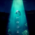 Fisherman - Hurt (Explicit)