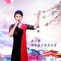 王萍 - 西口情