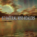 Zen Meditate - Destress Now