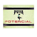 Puya - Potencial