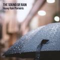 The Rain Library、The Outdoor Library、Lightning, Thunder and Rain Storm - Heavy Rain Meditation
