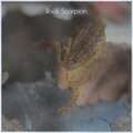 Michael Wheeler - Rock Scorpion