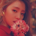阿凌TTToday、南漓漓漓漓、淤丸Arbres、GGGUA - DAHLIA