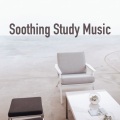 Study Music Library、Study Time、Focus & Work - Valley of Freedom