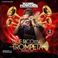Electro Zone、Daniel Parranda - Que rico esa trompeta (feat. Daniel Parranda)