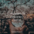 Massagem Guru、Unidad de música zen relajante、Meditaciónessa - Soñando Tranquilo