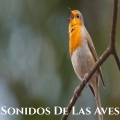 Sonido Relajante - Sonidos De Las Aves