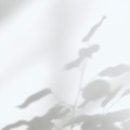 Deep Sleep Music Collective、Deep Sleep Music Experience、Relaxing Sleep Music - Chill Sounds