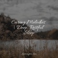 Reiki Music、Echoes Of Nature、Sound Of Rain - Focused, Relaxed