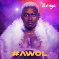 Solidstar、Konga - What You Want (feat. Solid Star)