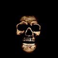 Darkside Imp、Outlaw - COCO (feat. Outlaw)(Explicit)