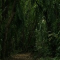Soothing Nature Sounds、Relaxar Meditação Clube、Sleep Rain - Flowing Brooks