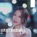 心姐 - 你弄丢了视你如命的人 (48秒片段)