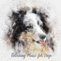 Sleepy Dogs、Dog Calming Music、Dog Music - Solo Flight