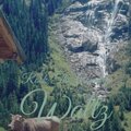 E. Rudd Young - YouToldMe