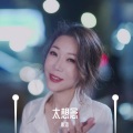 心姐 - 太想念 (50秒片段)