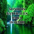 Sonidos naturales - Cascada