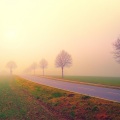 SPA、Wellness、Academia de Relaxamento e Meditação - Wandering Soul
