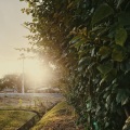 Relajacion Del Mar、Nature Sounds Nature Music、Relaxing Music Therapy - Path to Dreamland