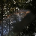 Zen Music Garden、Relaxing Music Therapy、Nature Sounds - Focus, Sleep, Relax