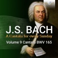 Netherlands Bach Collegium、Sytse Buwalda、Pieter Jan Leusink - III. Aria. Jesu, der aus großer Liebe