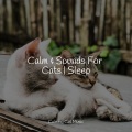 Calm Music for Cats、Music for Resting Cats、Music For Cats Peace - Mellow Tones