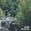 Nature Sounds、Relaxing Music Ox、Amazing Spa Music - Meditative Leaf