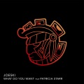 joeski、Patricia Starr - WHAT DO YOU WANT (OriginalMix)