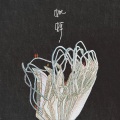 花粥 - 蚍蜉