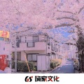 子哝 - 等风也等你