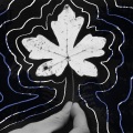 Jay Anderson - Bygones