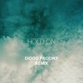 Electro Zone - Hold on (DiogoPaccinyRemix)