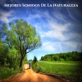 Sonido Relajante - Mejores Sonidos De La Naturaleza