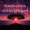 Sonido Relajante - Sonidos Para Aliviar El Estres