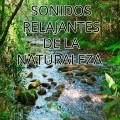 Sonido Relajante - Sonidos naturales
