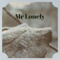 Andy Williams - Home Lovin' Man