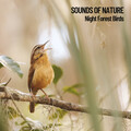 Sleep Music Guys、Nature Vibrations、Relaxing Music Ox - Forest Chirp