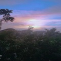 张子凡 - 1022