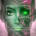 Ricky Fobis、Igor S. - If You Don't Know (Lo Mix)