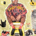 Saucy Vibez - Interlude (Roses)(Explicit)
