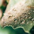 Zona Música Relaxante、Musica Relaxante、Sonidos De Lluvia y Tormentas - Música Para Masaje